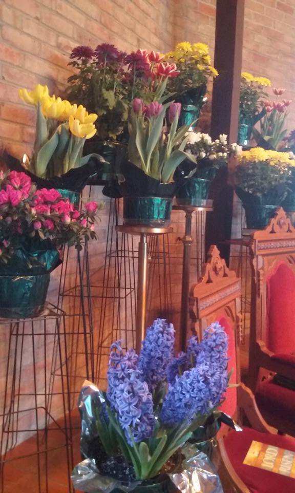 image-957167-Easter_Lillies-c51ce.jpg